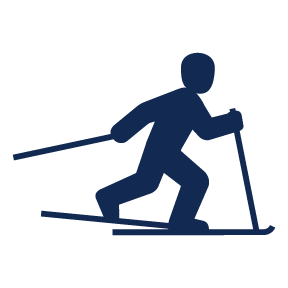 nordic skate