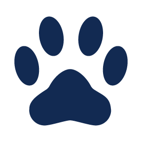 nordic dog