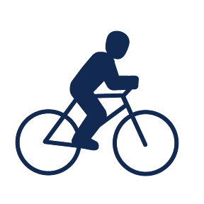 nordic fat bike