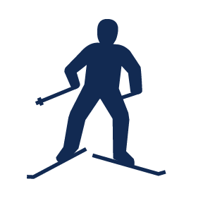 nordic skate