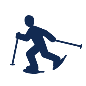 nordic snowshoe
