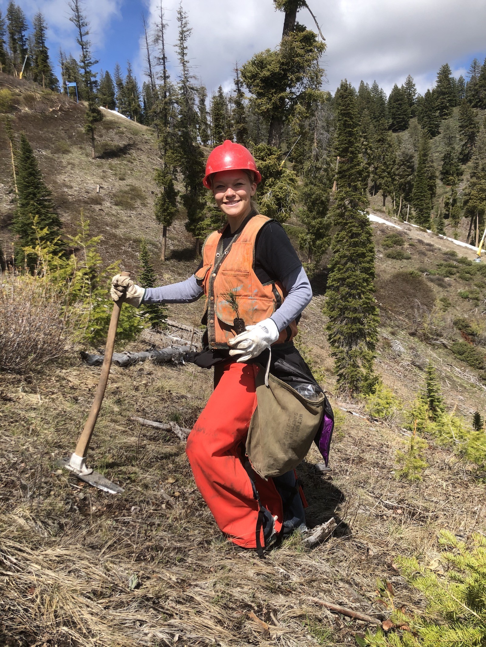 A person is shown with a bag of seedlings and tools to plant the new seedlings.