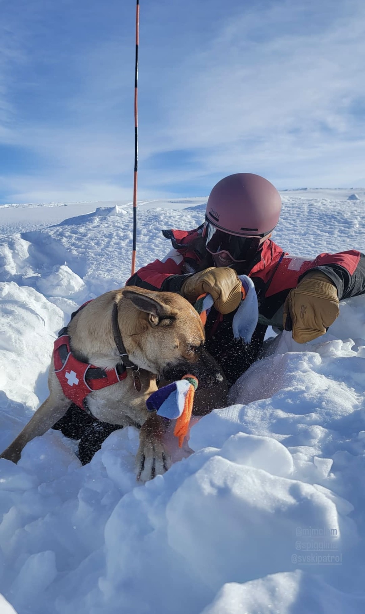 Mollie and dog, Maverick, appear in the snow with a chew toy.